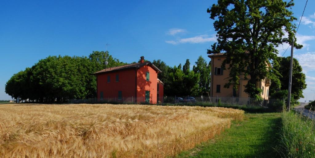 B&B L'Alberone Budrio  Extérieur photo